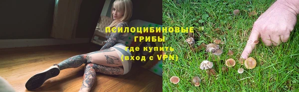 шишки Зеленодольск